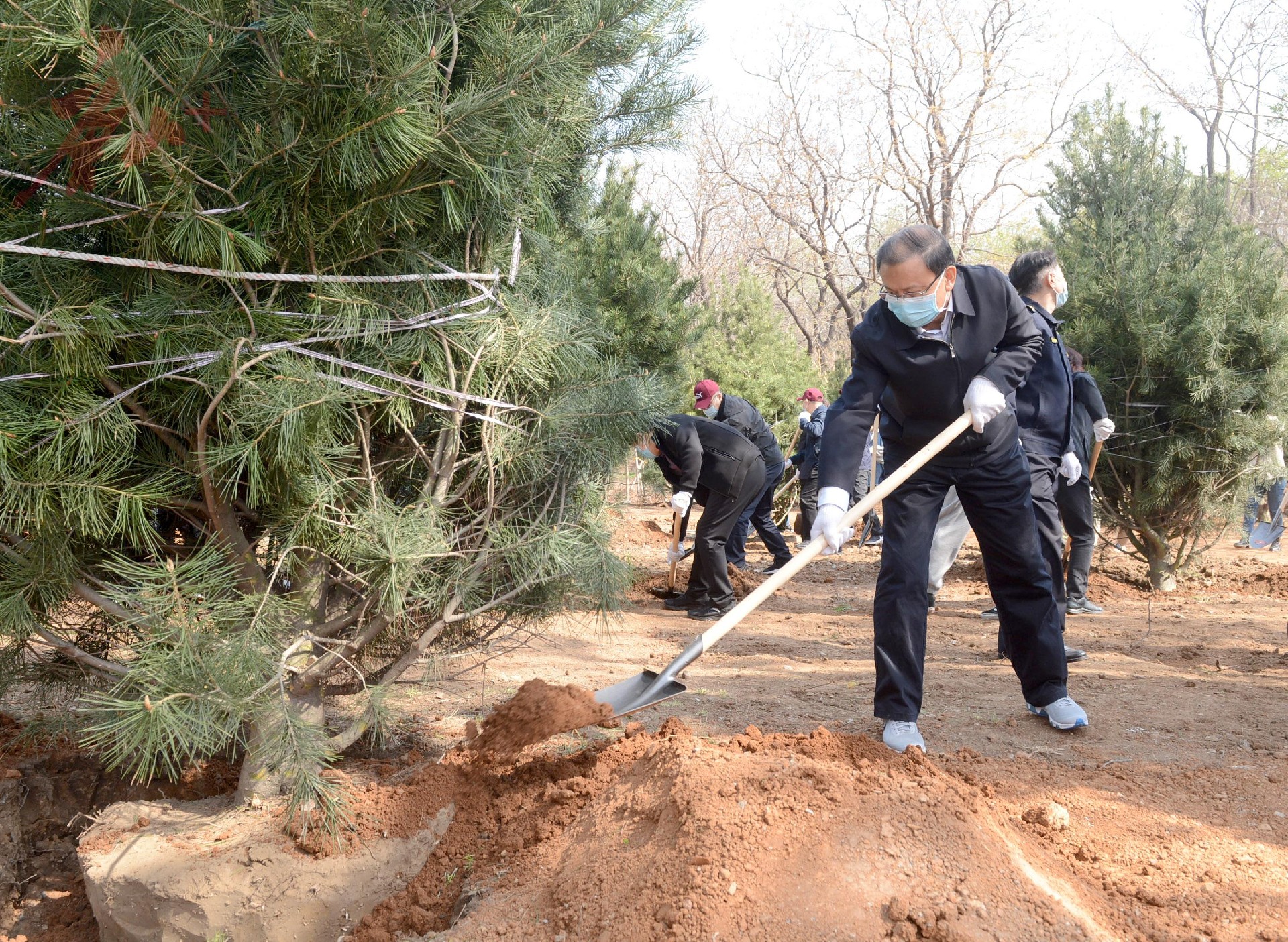 唐山市四大班子领导参加全民义务植树活动.jpg